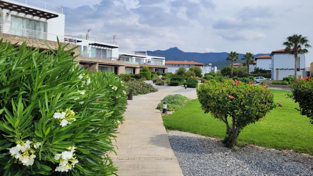 Sea And Mountain View Beachfront Penthouse Yali Eksteriør billede