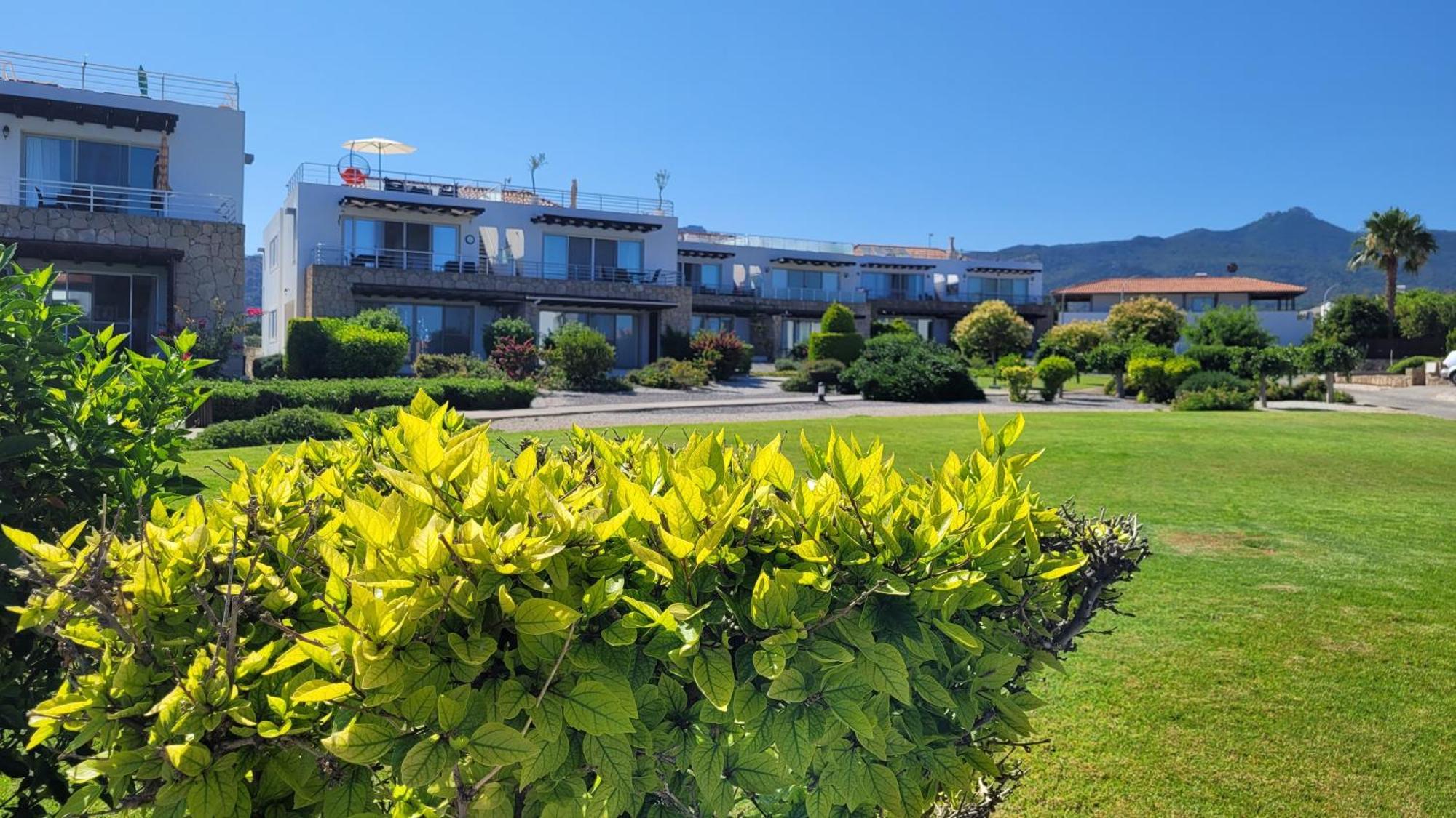 Sea And Mountain View Beachfront Penthouse Yali Eksteriør billede